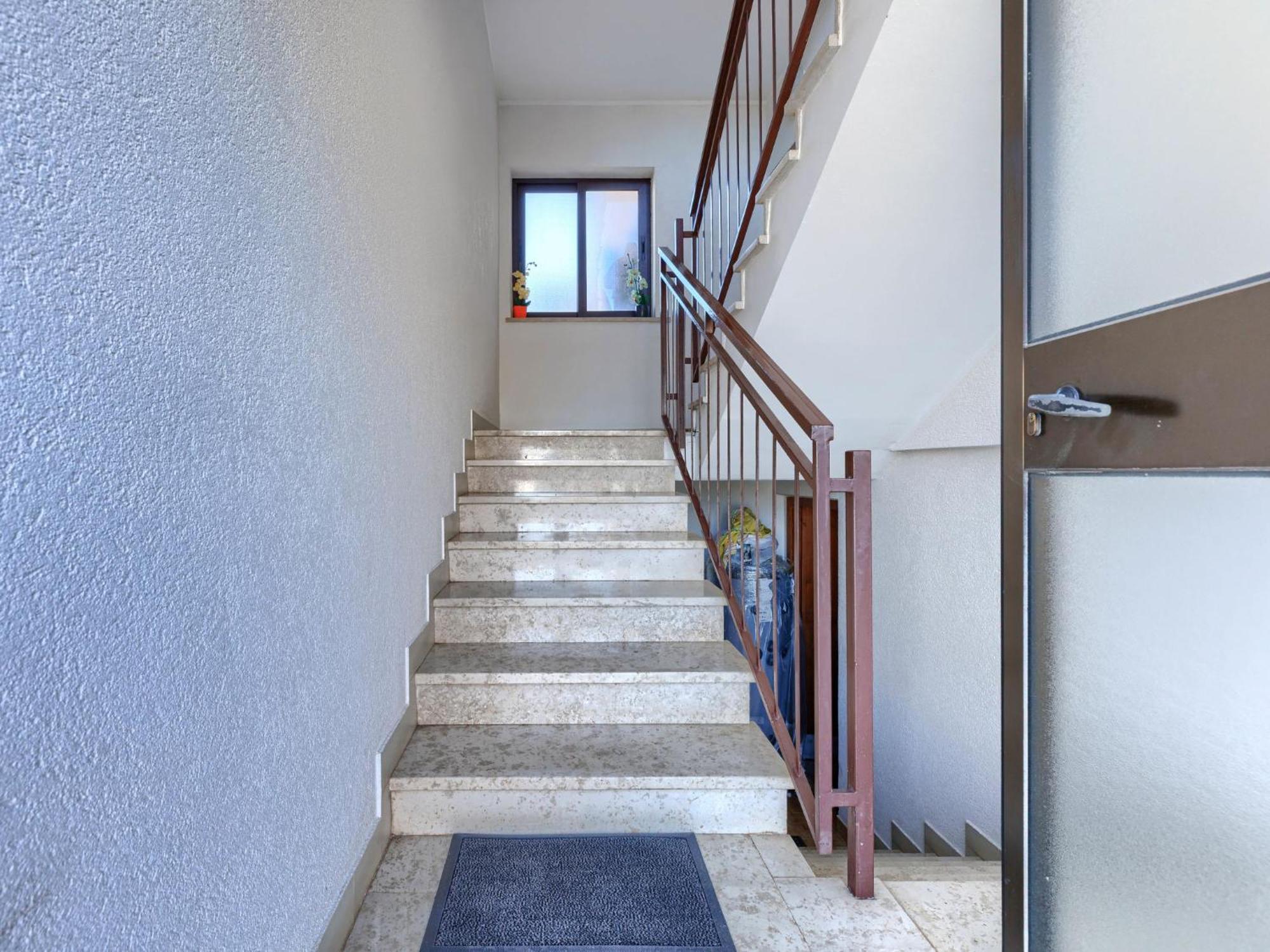 Zoki 2 By Interhome Apartment